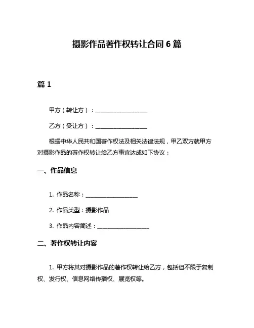 摄影作品著作权转让合同6篇
