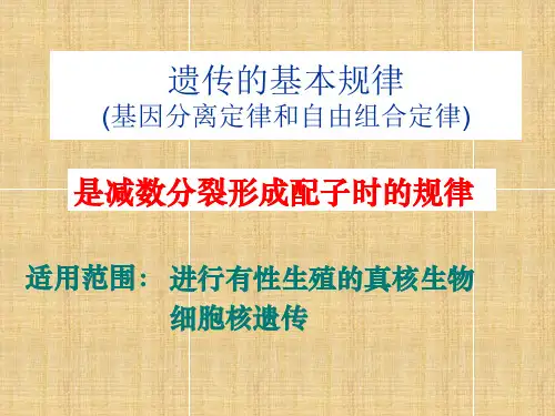 高三生物一轮复习名师精编课件：遗传的基本规律
