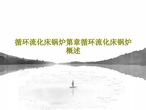 循环流化床锅炉第章循环流化床锅炉概述63页PPT