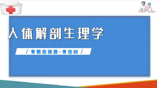 运动系统(人体解剖生理学课件)