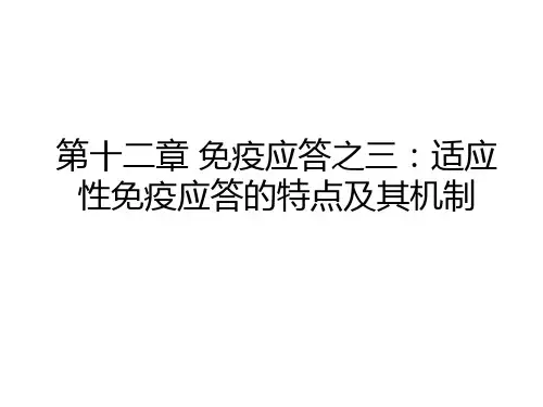 免疫学-适应性免疫应答
