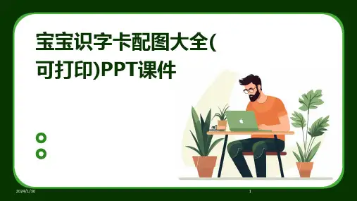 宝宝识字卡配图大全(可打印)PPT课件(2024)
