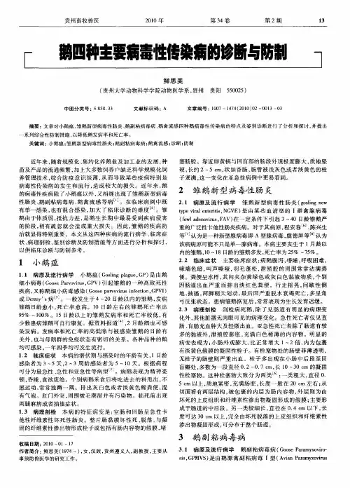 鹅四种主要病毒性传染病的诊断与防制