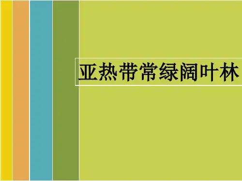 亚热带常绿阔叶林的课件