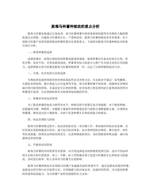 脱毒马铃薯种植技的重点分析