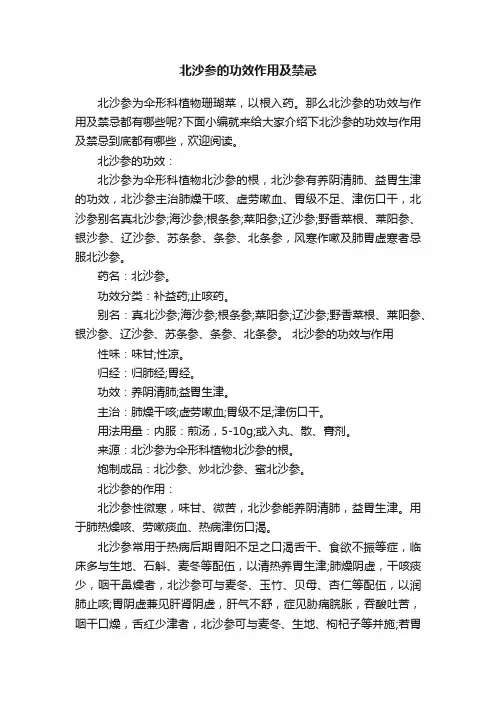北沙参的功效作用及禁忌