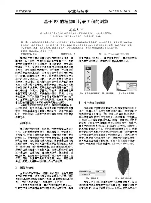 基于PS的植物叶片表面积的测算