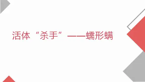 活体“杀手”--蠕形螨