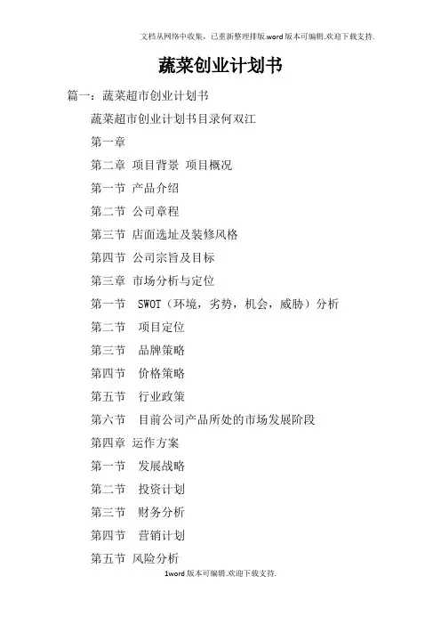 蔬菜创业计划书