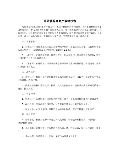 马铃薯综合高产栽培技术