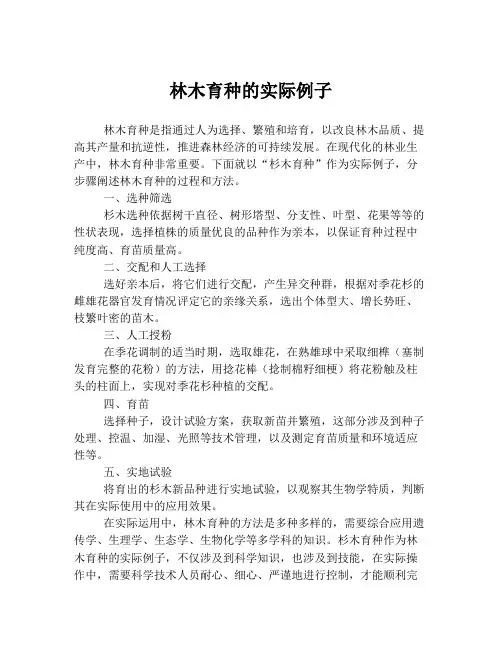 林木育种的实际例子