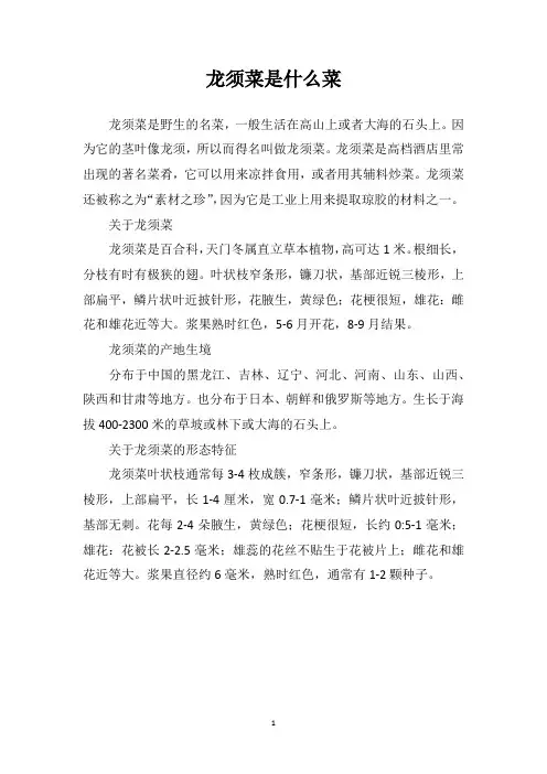龙须菜是什么菜