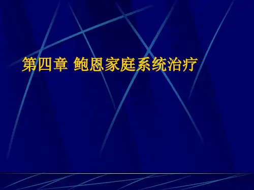 鲍恩家庭系统治疗004