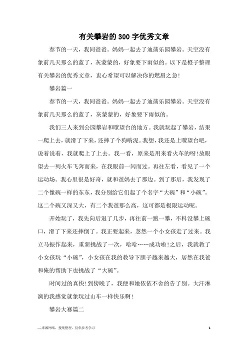 有关攀岩的300字优秀文章