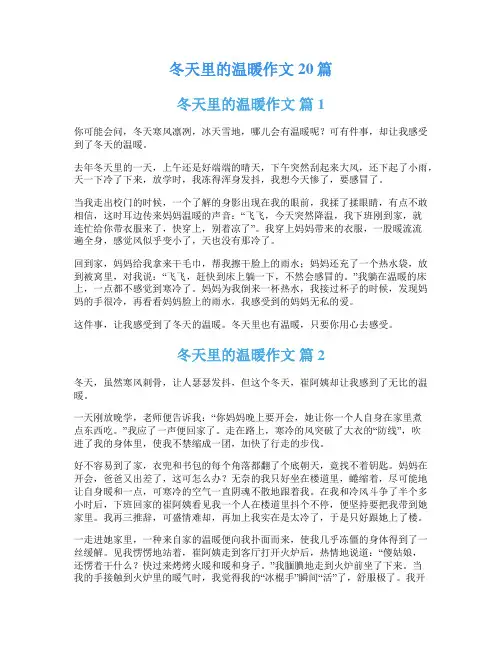 冬天里的温暖作文20篇