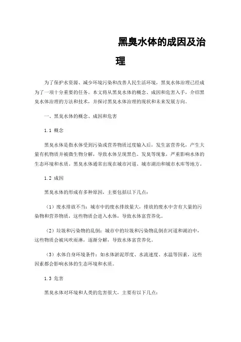 黑臭水体的成因及治理