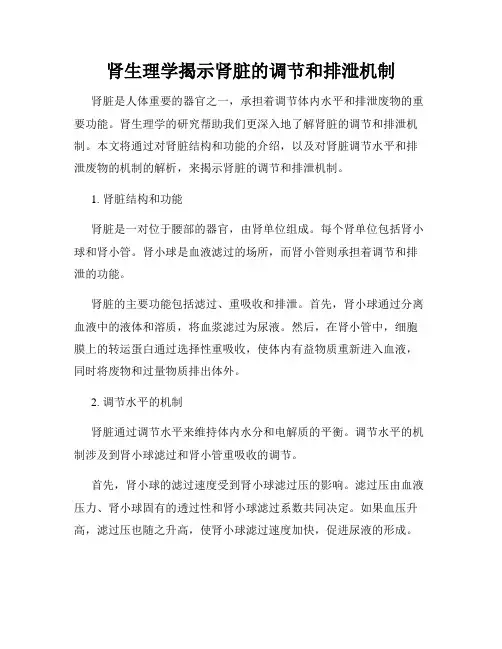 肾生理学揭示肾脏的调节和排泄机制