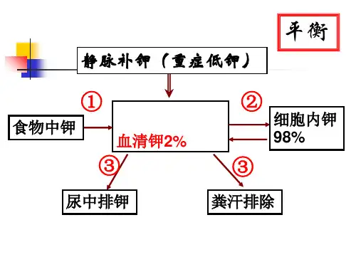 家兔高钾血症实验