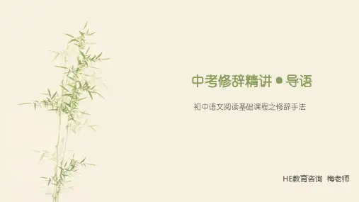 初中语文修辞手法全套课件