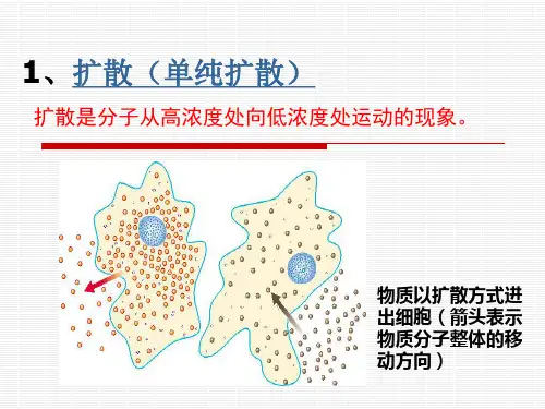 物质进出细胞的方式