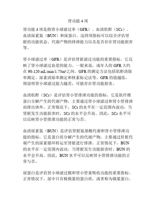 肾功能4项