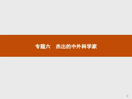 【人民版】历史选修四：6.1《中国科技之光》ppt课件