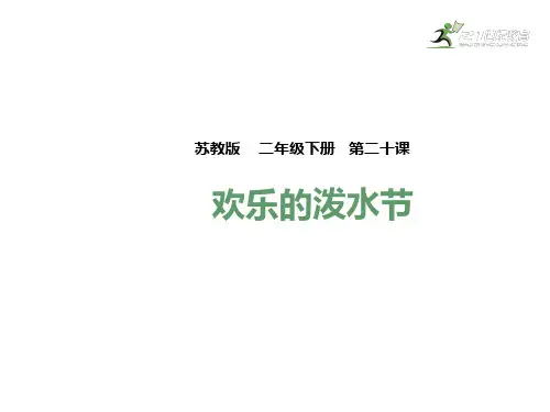 苏教版二年级语文下册课件-20欢乐的泼水节