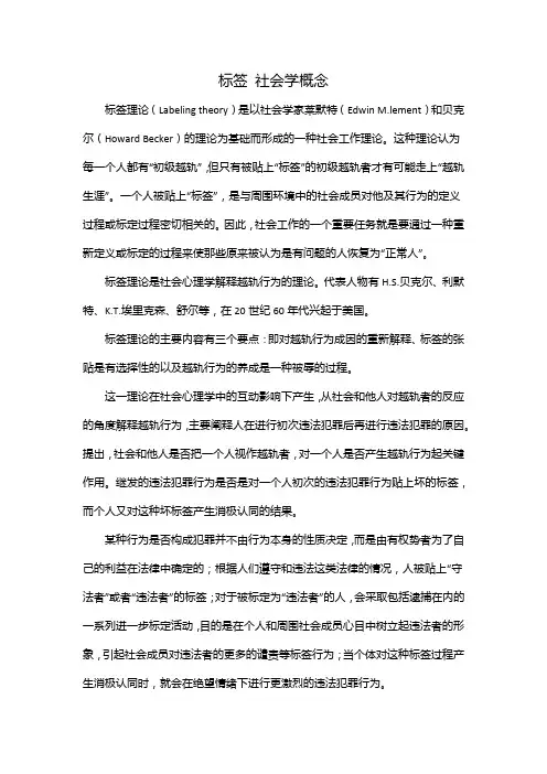标签 社会学概念