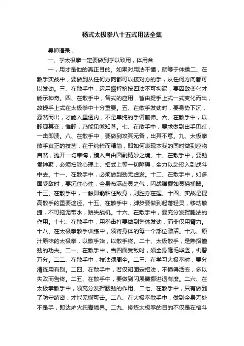 杨式太极拳八十五式用法全集