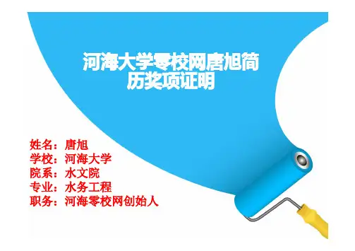河海大学零校网唐旭简历