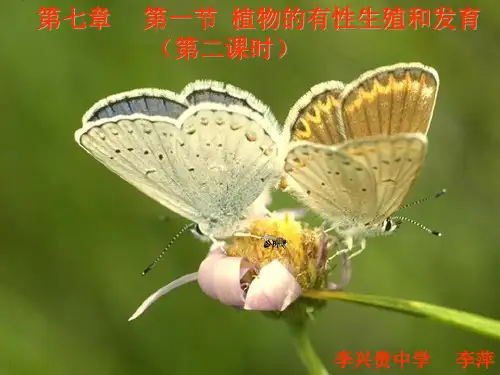 八年级科学下(华师大版)第七章第一节第二课时植物的有性生殖和发育