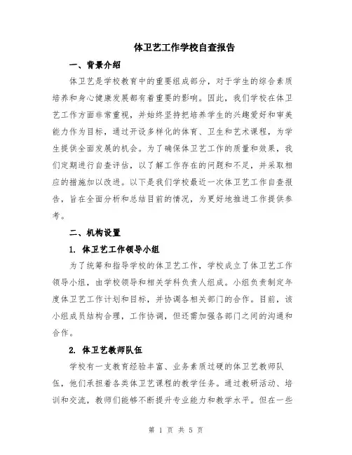 体卫艺工作学校自查报告