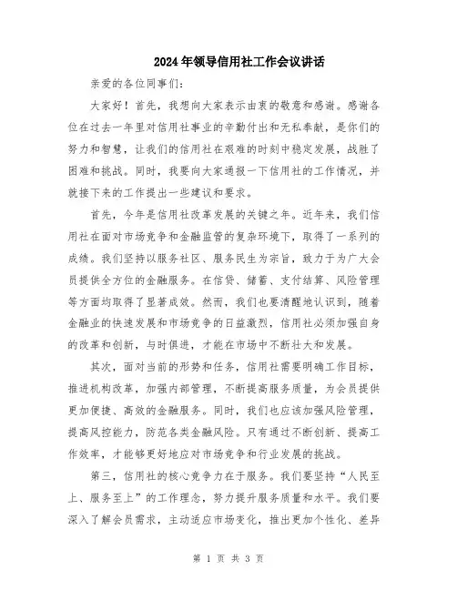 2024年领导信用社工作会议讲话
