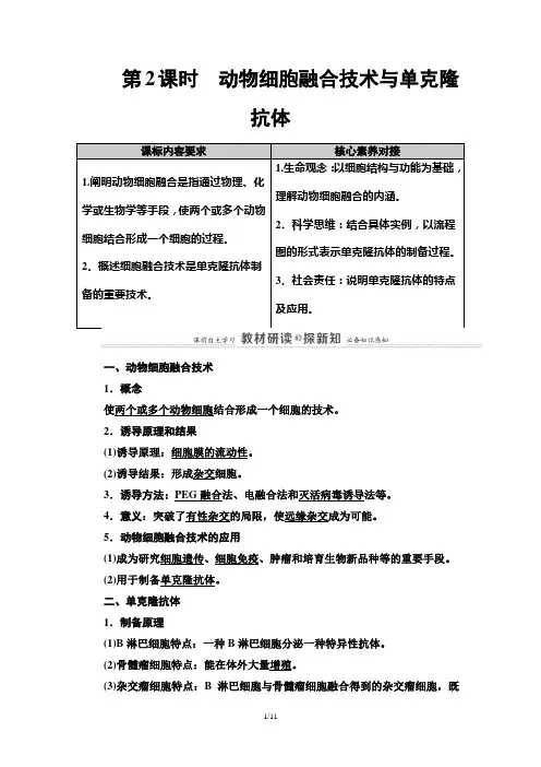 第2章 第2节  动物细胞融合技术与单克隆抗体 讲义【新教材】人教版(2019)高中生物选择性必修3