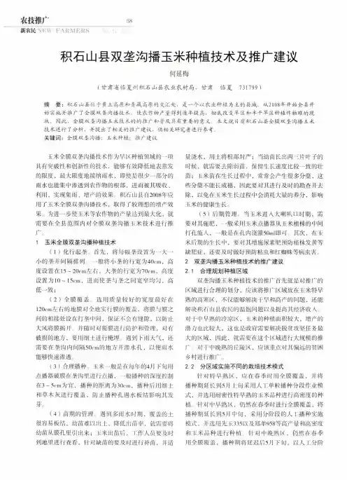 积石山县双垄沟播玉米种植技术及推广建议