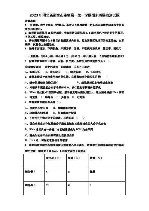 2023年河北省衡水市生物高一第一学期期末质量检测试题含解析