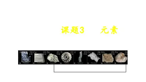 人教版初中化学九年级上册3.3 元素 课件  
