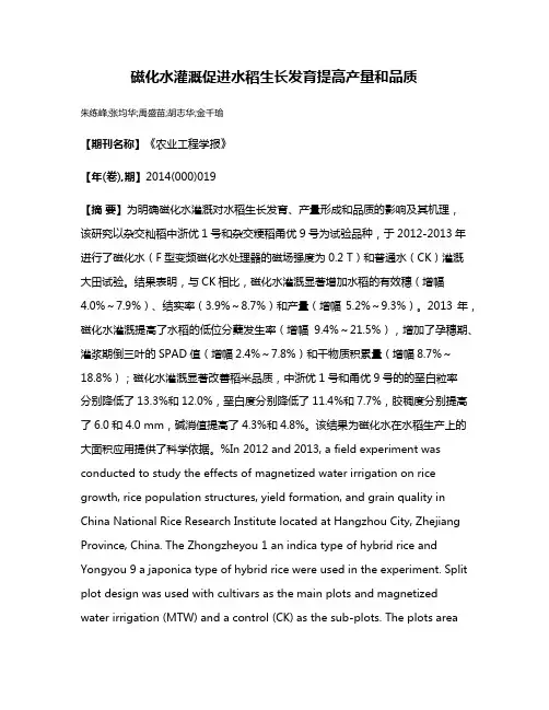 磁化水灌溉促进水稻生长发育提高产量和品质