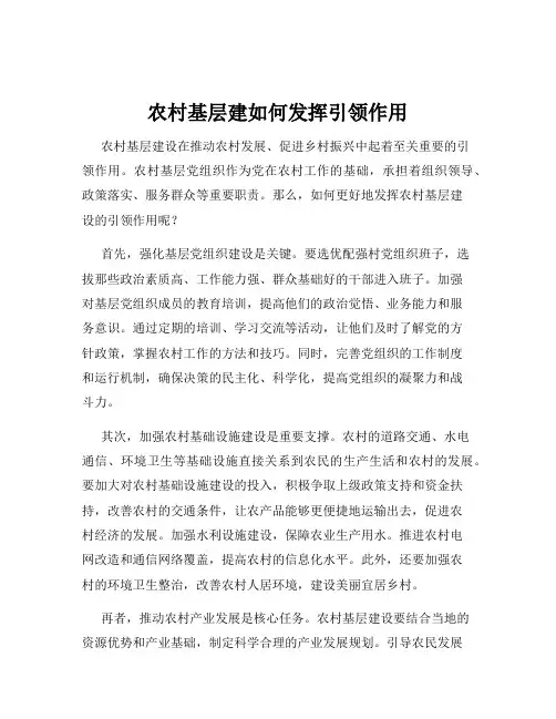 农村基层建如何发挥引领作用