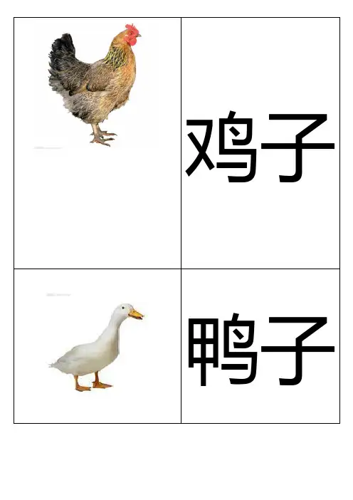 基础动物卡片幼儿识图 