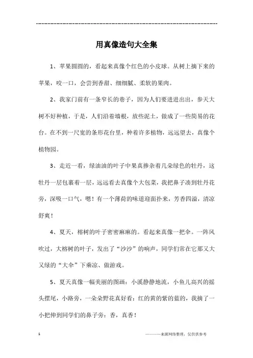 用真像造句大全集