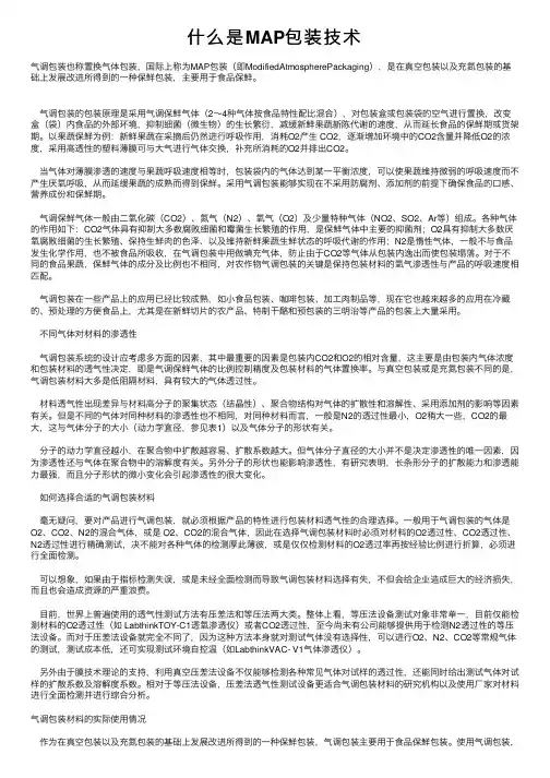什么是MAP包装技术