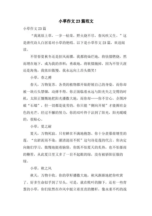 小草作文23篇范文