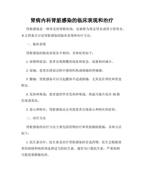 肾病内科肾脏感染的临床表现和治疗