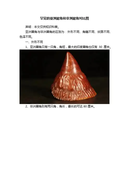 罕见的亚洲犀角和非洲犀角对比图
