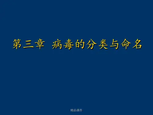 第三章 病毒的分类与命名ppt课件