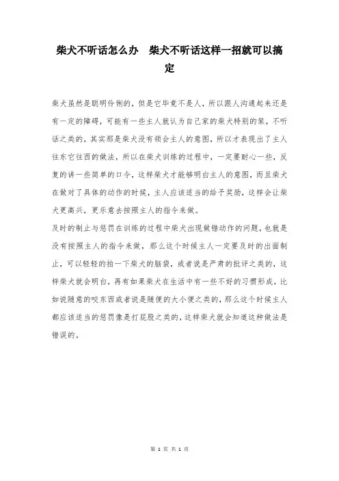 柴犬不听话怎么办  柴犬不听话这样一招就可以搞定