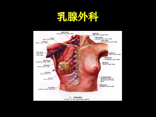 乳腺外科 PPT课件