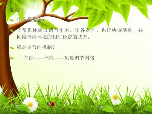 通过神经系统的调节PPT课件