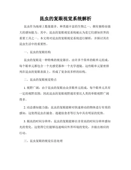 昆虫的复眼视觉系统解析